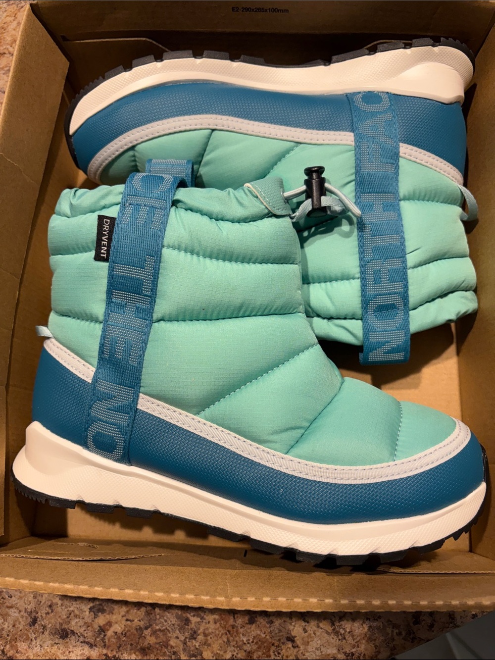 The North Face Kids Aqua & Teal Puffer Snow Boots